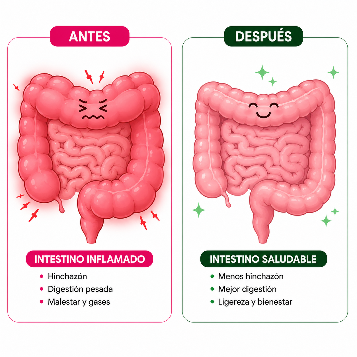 Physicians Choice® Gomitas de Fibra Prebiótica