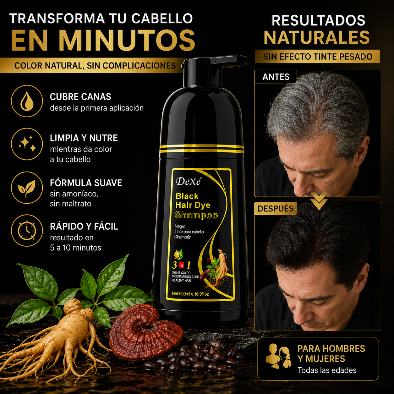 Shampoo Tinte Anti Canas 500ML | NEGRO Y CAFE