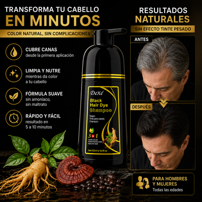Shampoo Tinte Anti Canas 500ML | NEGRO Y CAFE